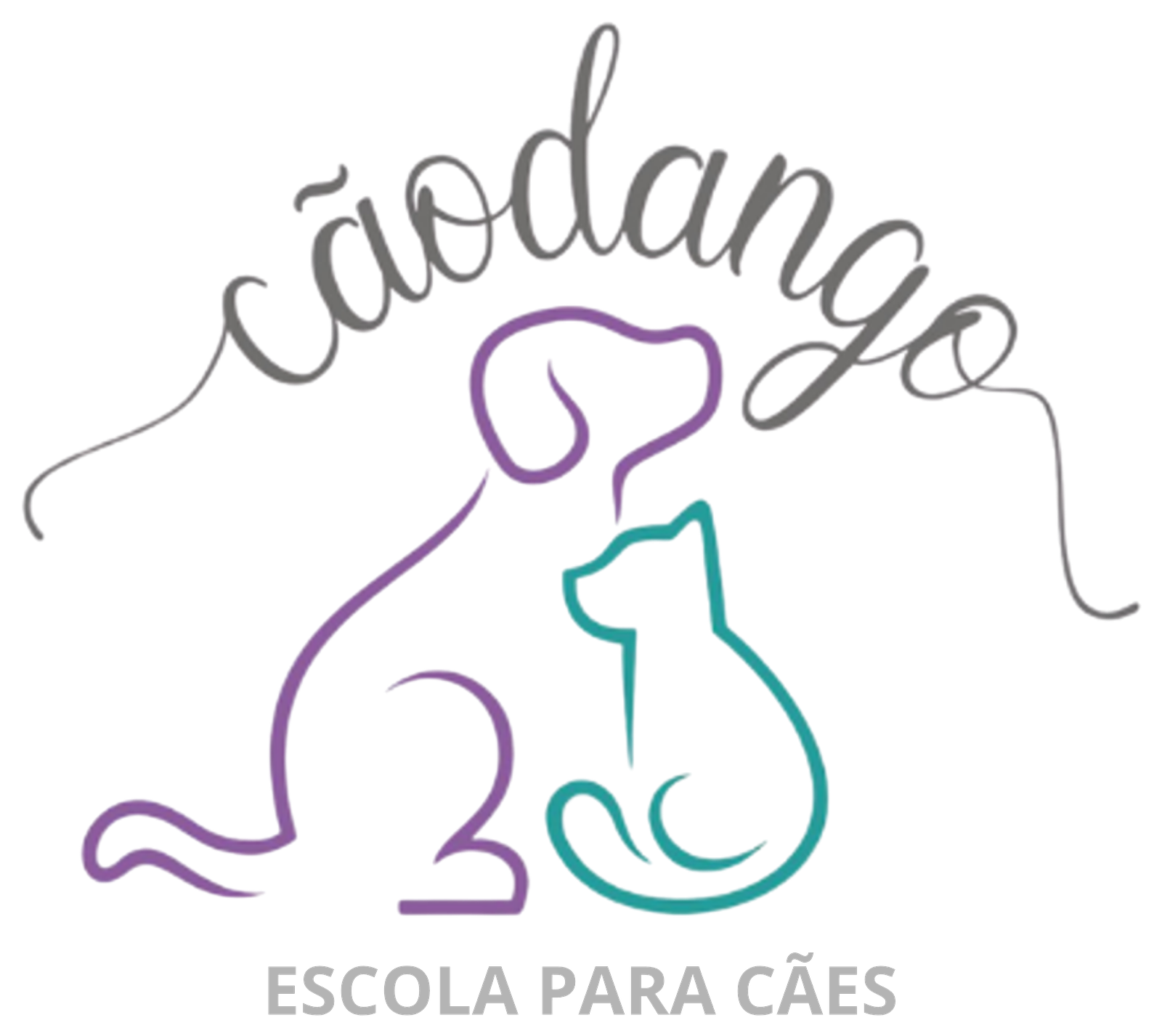 Cãodango — Escola para cães
